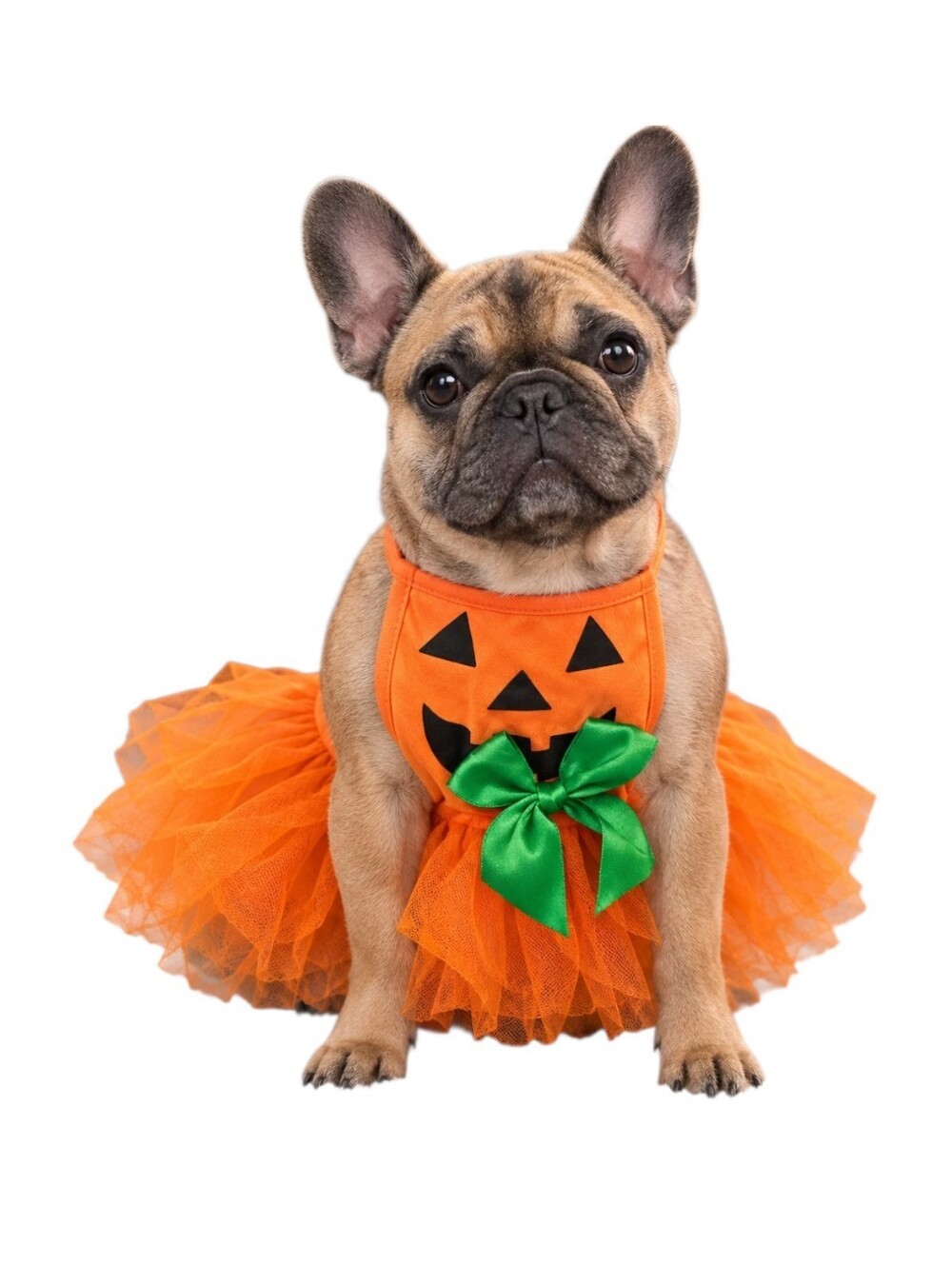 Orange Pumpkin Tulle Dog Dress with Green Bow. V
